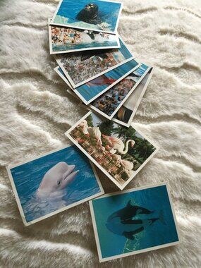 Vintage 80s Ten Sea World Collectible Photo Tourist Cards